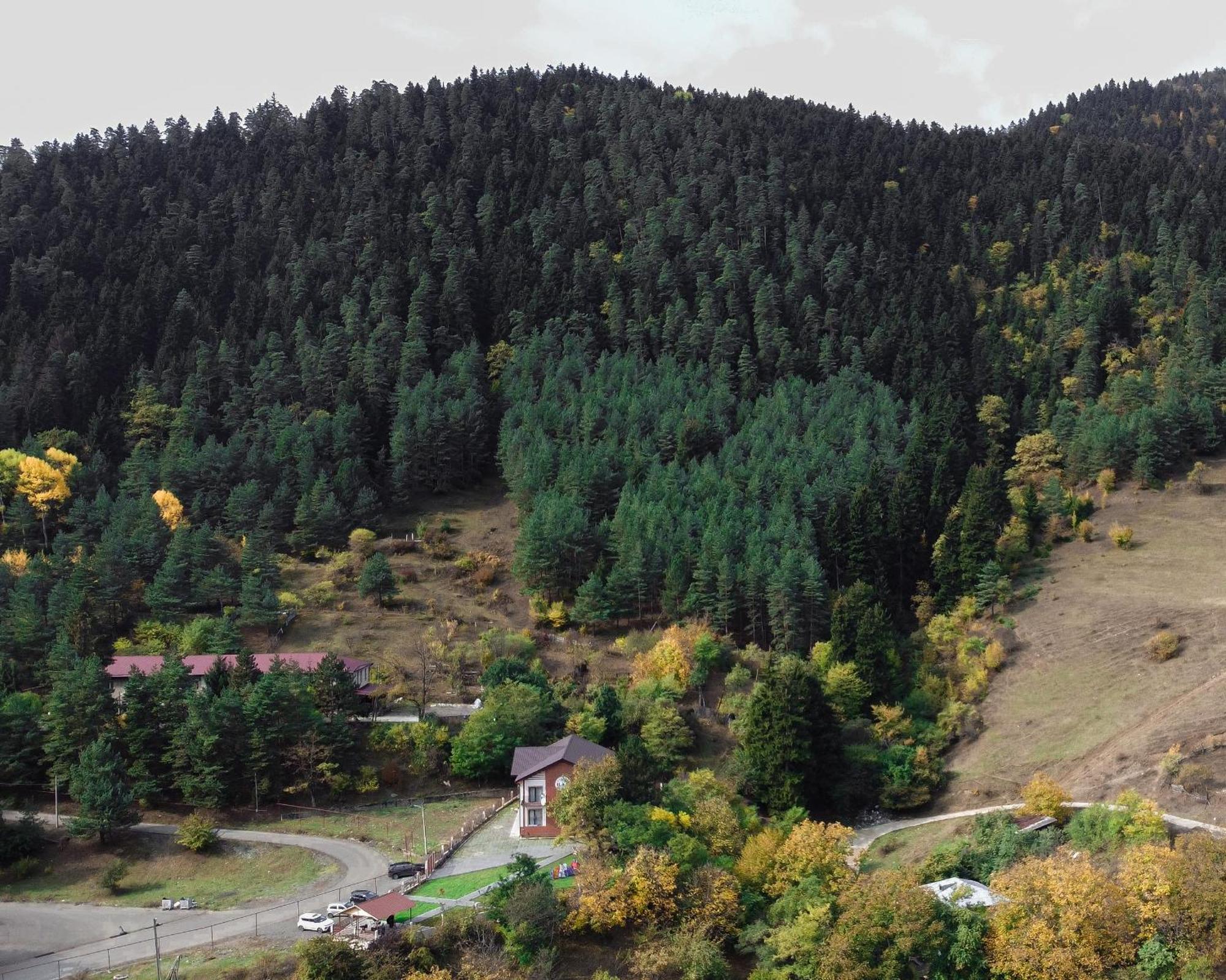 Holiday Borjomi Qvibisi ภายนอก รูปภาพ
