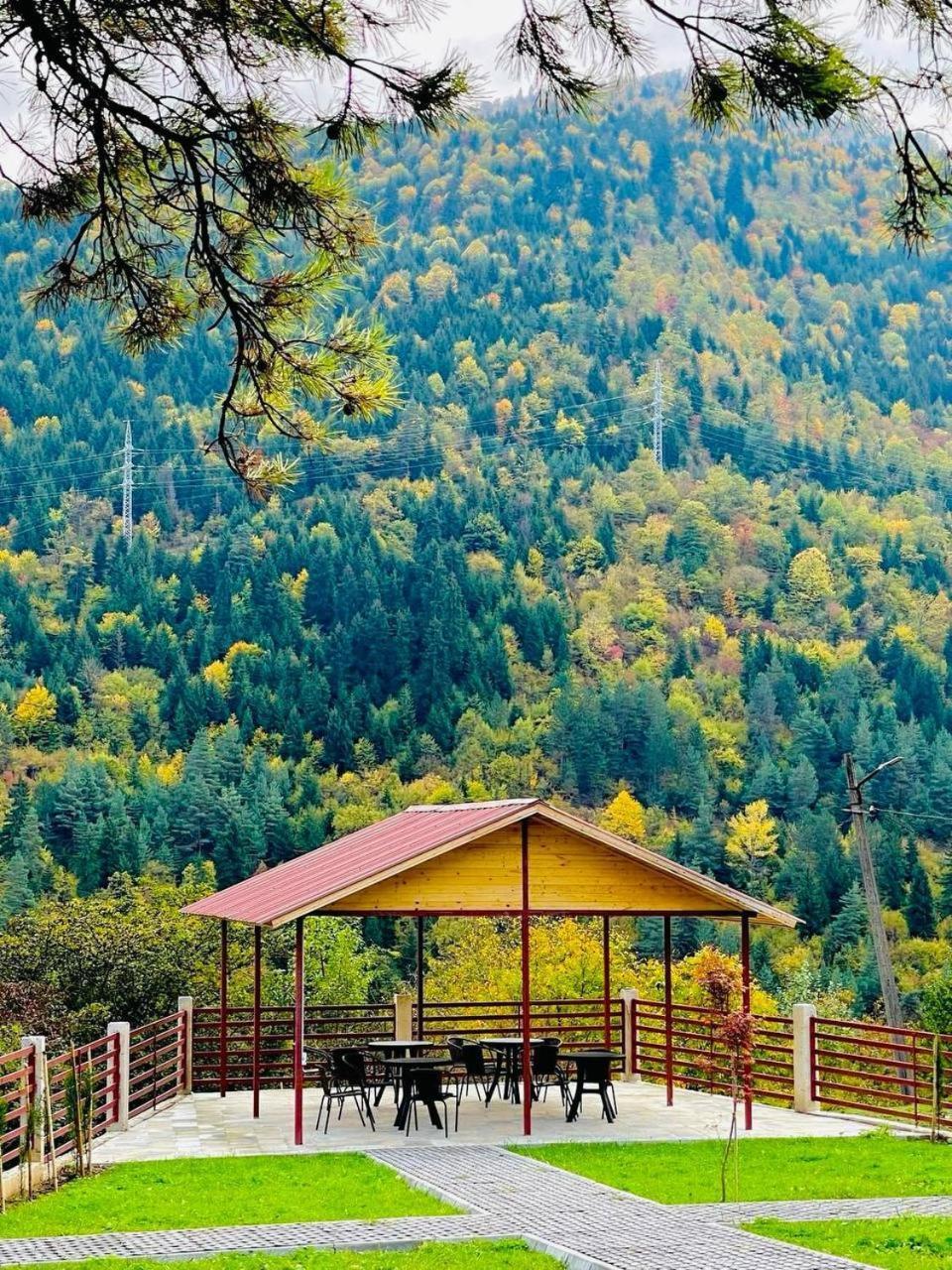 Holiday Borjomi Qvibisi ภายนอก รูปภาพ