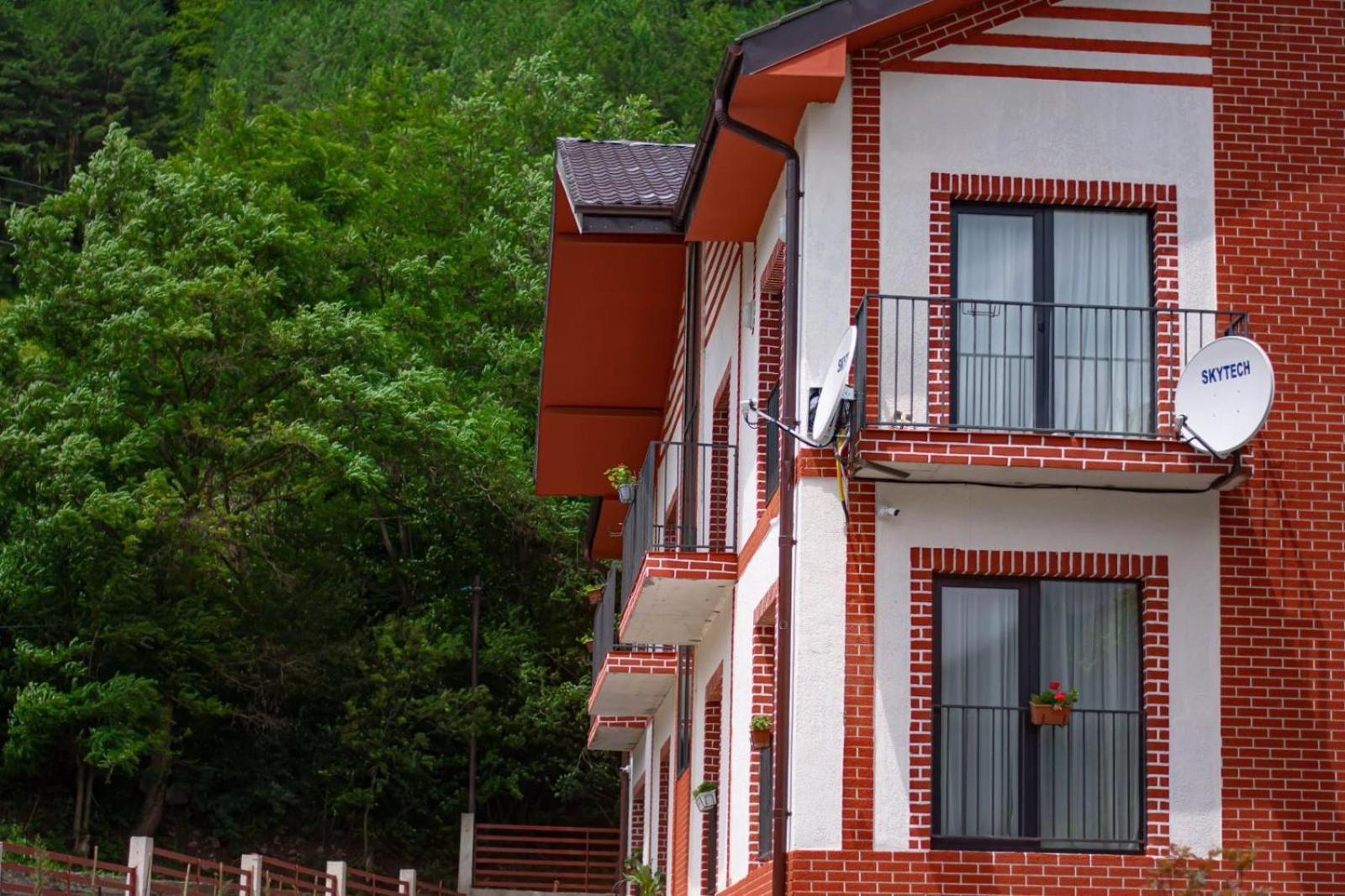 Holiday Borjomi Qvibisi ภายนอก รูปภาพ