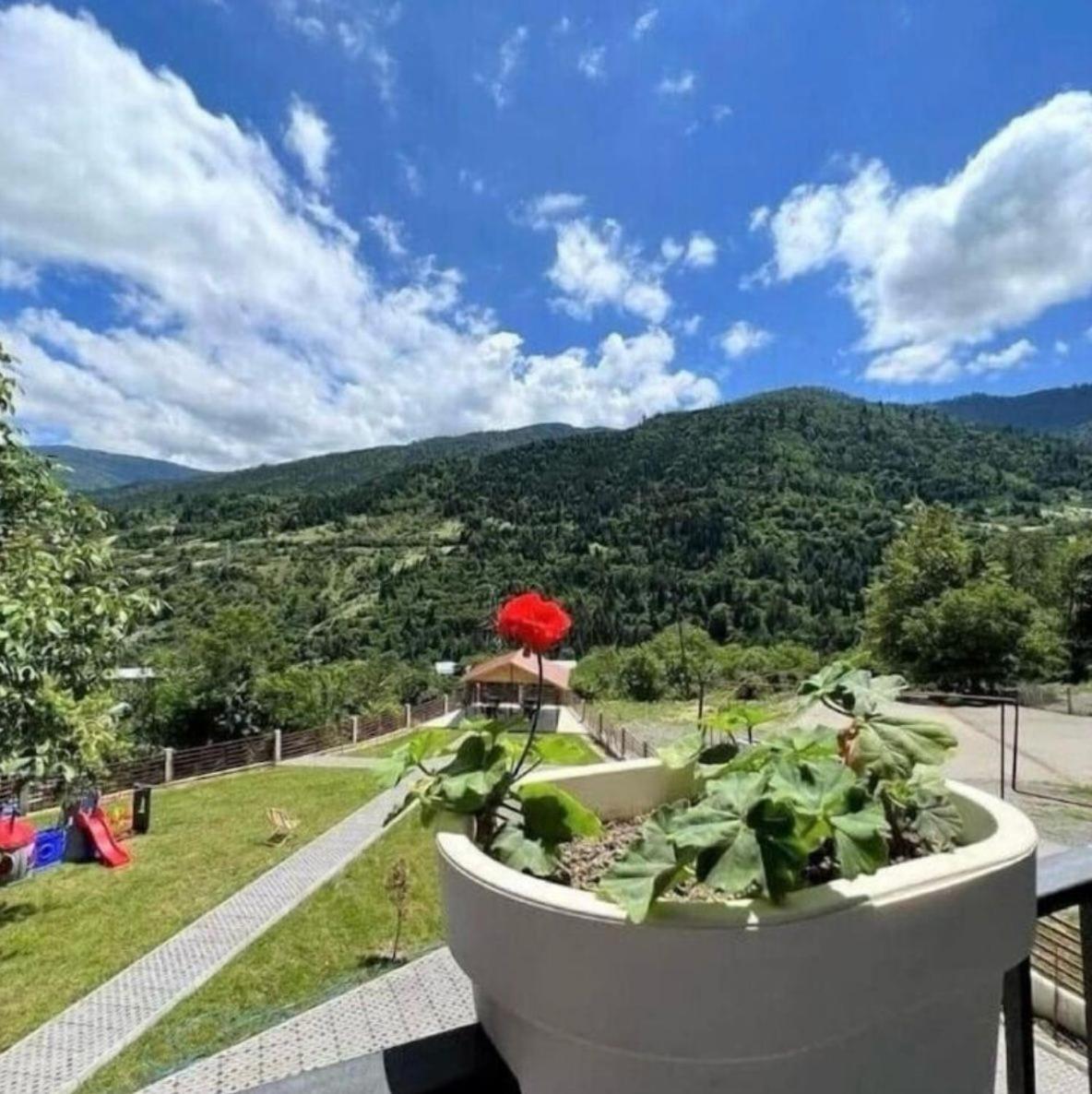 Holiday Borjomi Qvibisi ภายนอก รูปภาพ