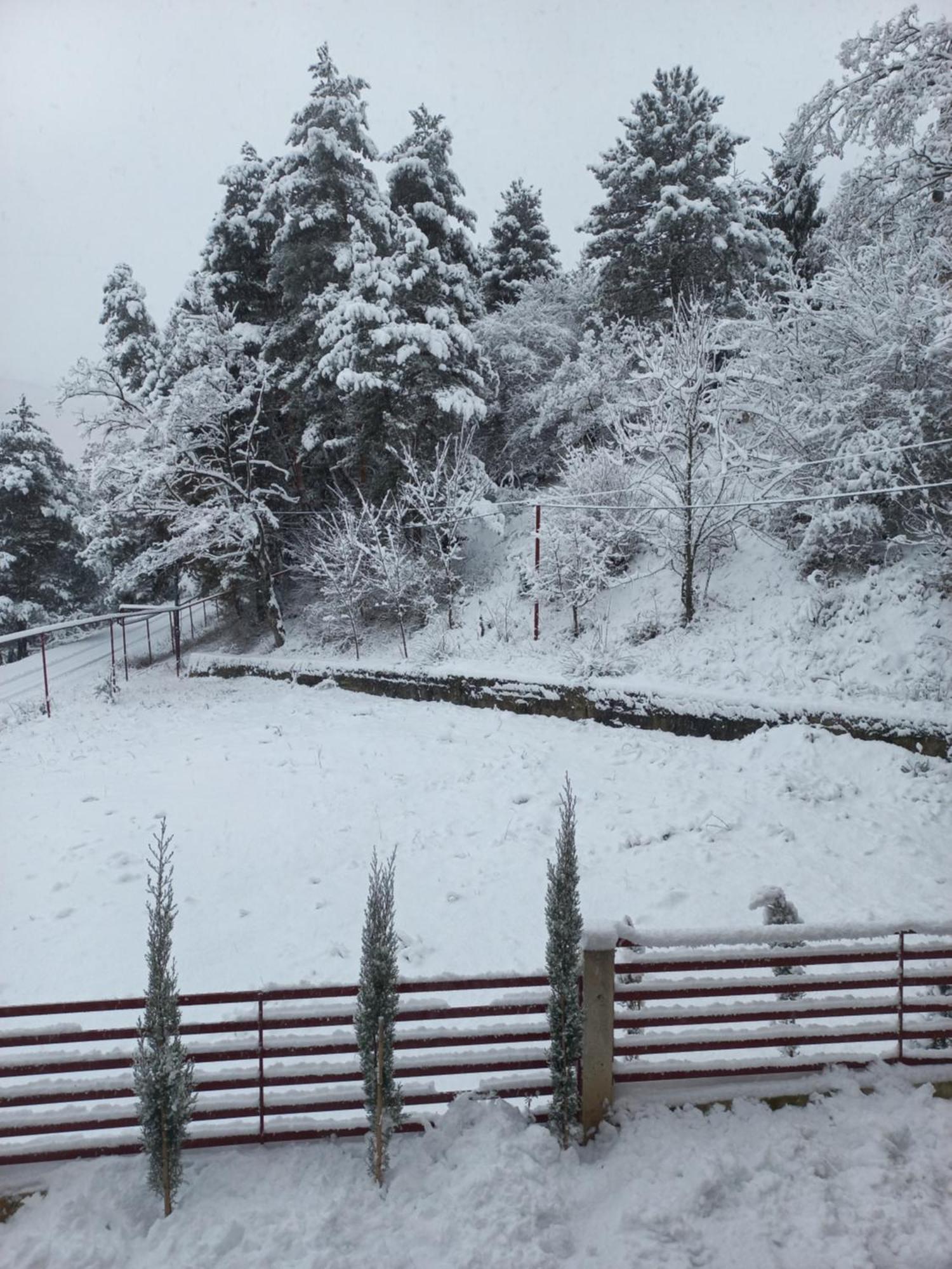 Holiday Borjomi Qvibisi ภายนอก รูปภาพ