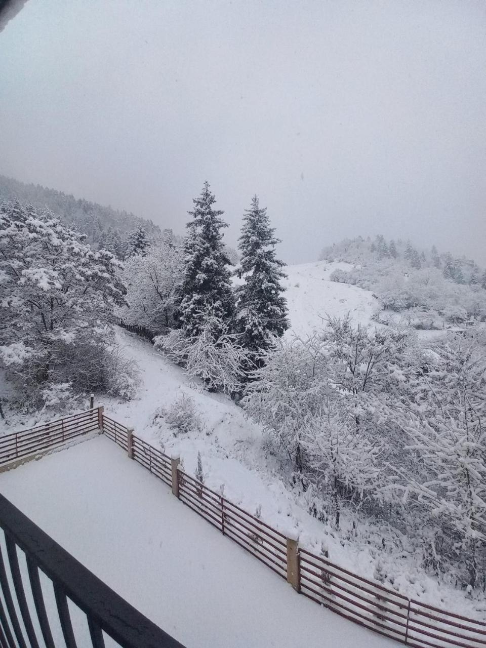 Holiday Borjomi Qvibisi ภายนอก รูปภาพ