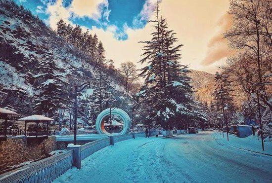 Holiday Borjomi Qvibisi ภายนอก รูปภาพ