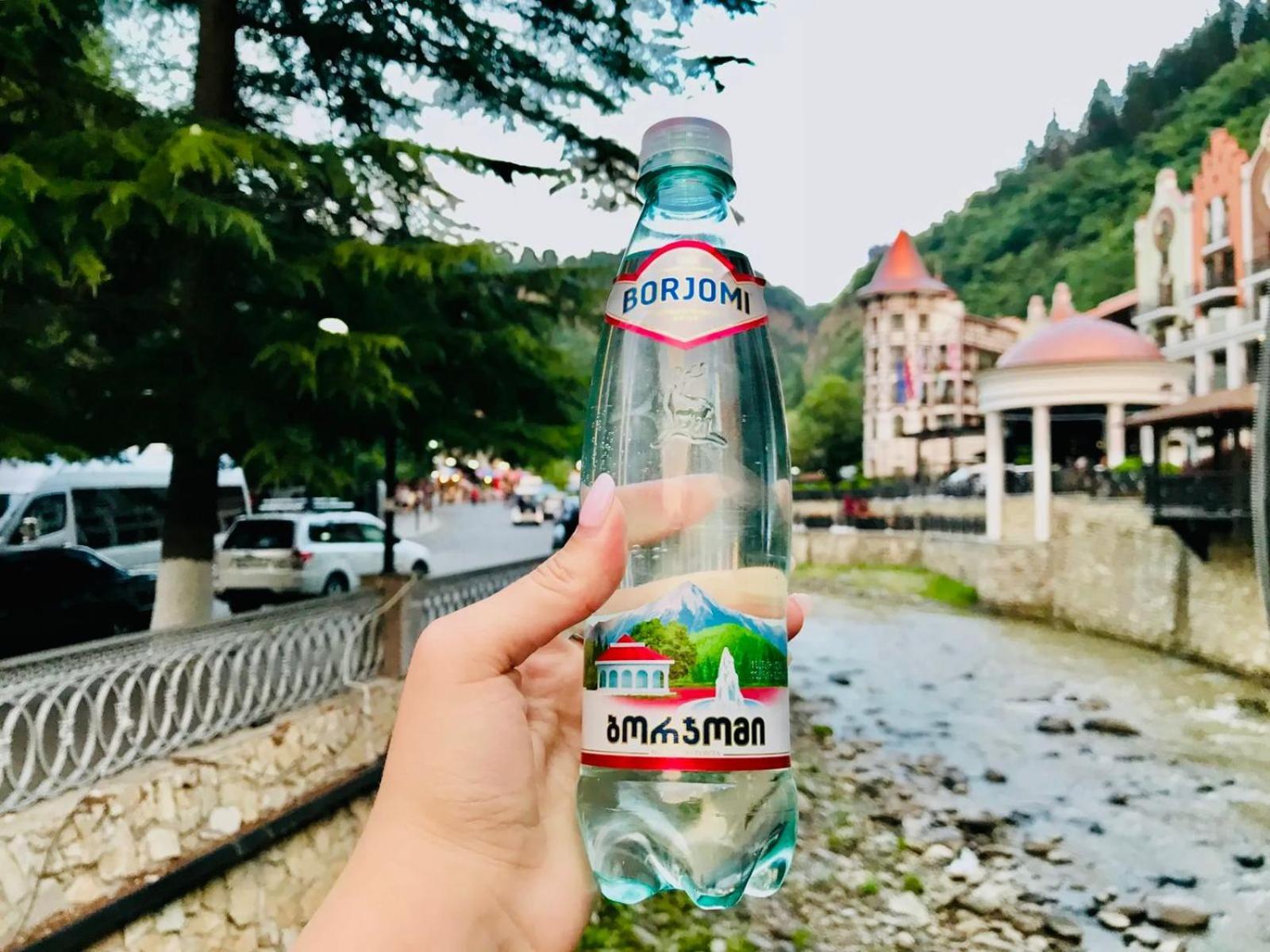 Holiday Borjomi Qvibisi ภายนอก รูปภาพ